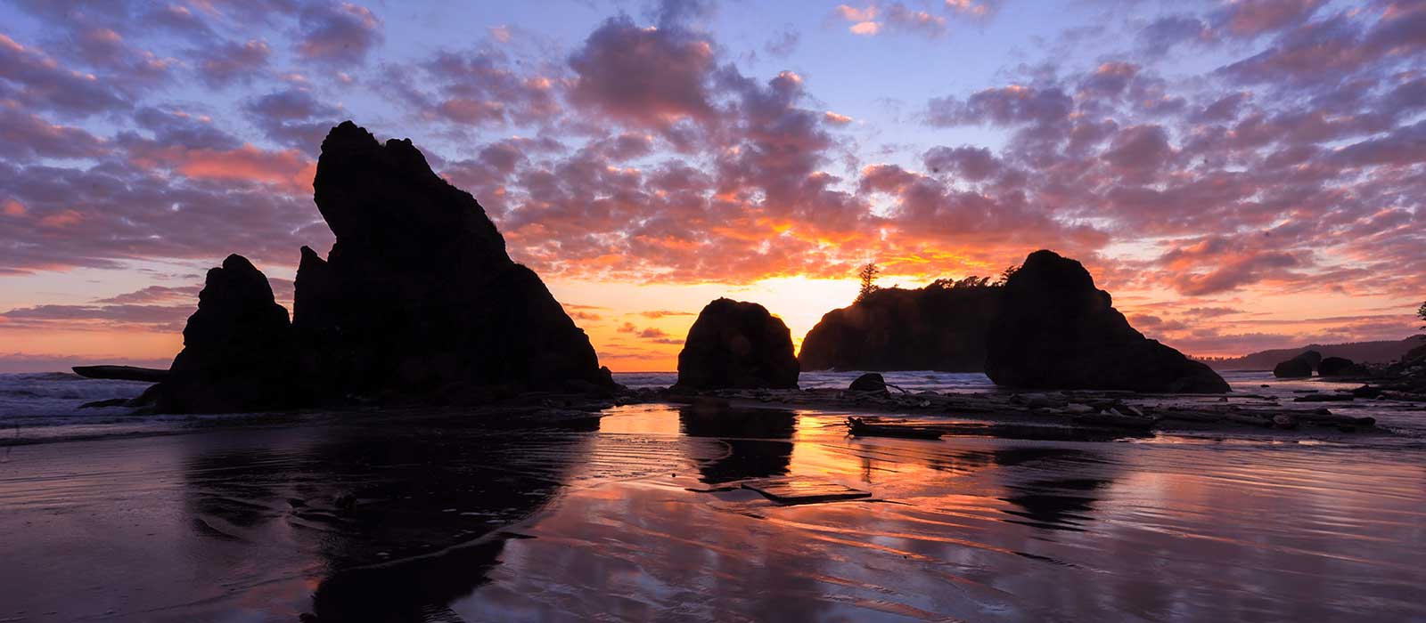 17 Top Olympic National Park Packing List Items for 2024 + What to Wear