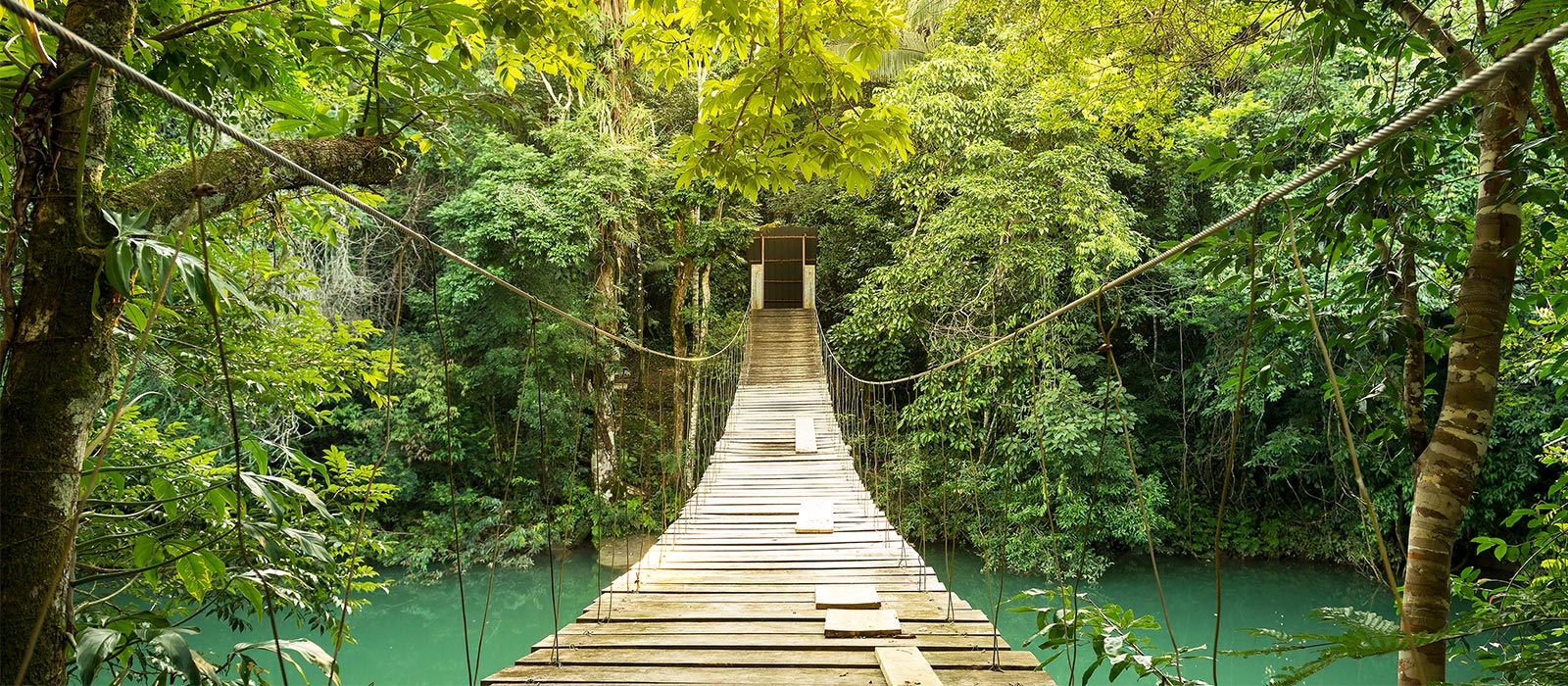 U.S. to Belize Power Adapter What Plug Do I Need? (2024)