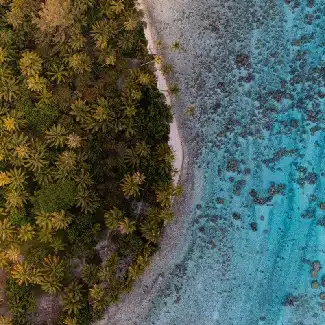 Wet season tahiti