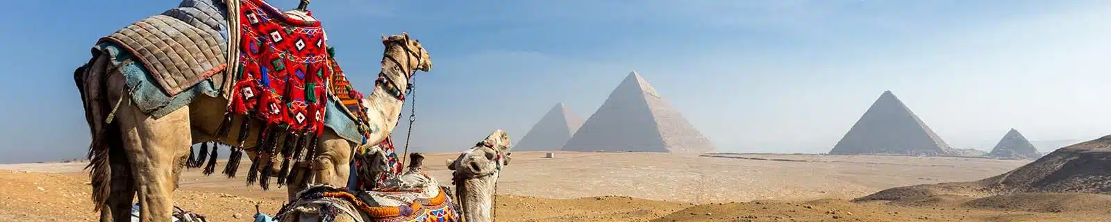 US to Egypt Power Adapter: What Plug Do I Need? (2025)