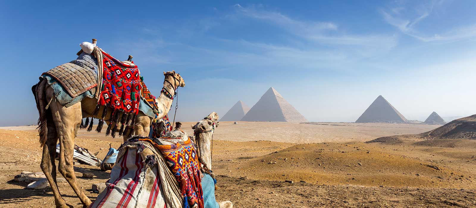 US to Egypt Power Adapter What Plug Do I Need? (2024)