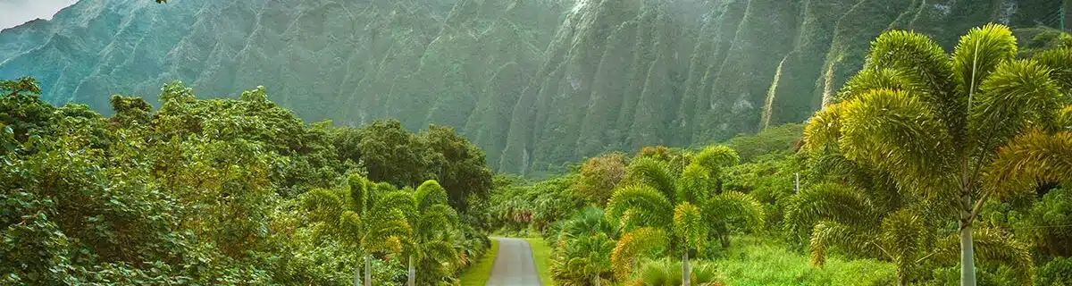 Ho'omaluhia Botanical Park at Oahu