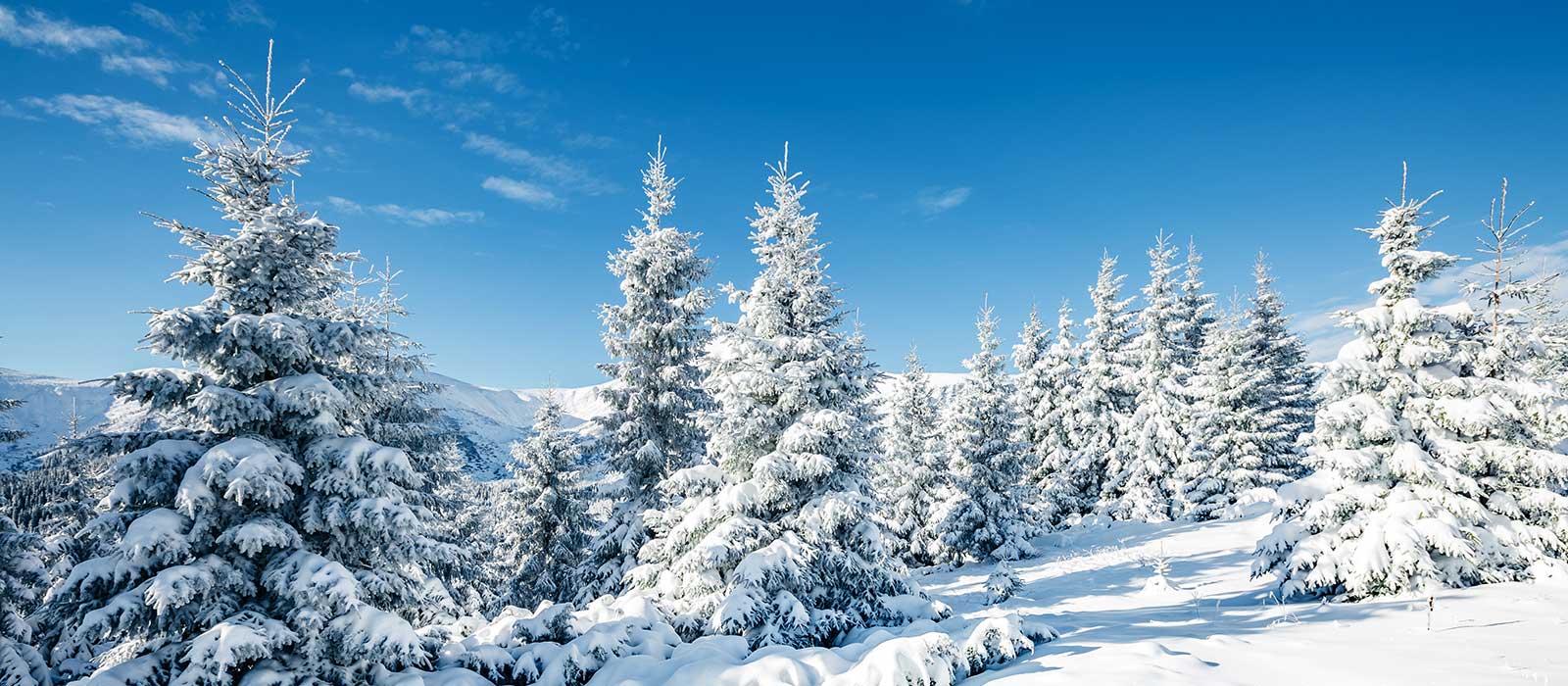 US to Finland Power Adapter What Plug Do I Need? (2024)