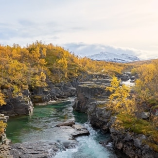 Abisko-National-Park