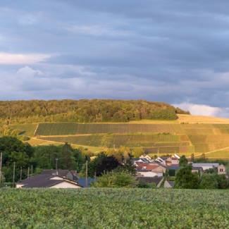 Champagne Region