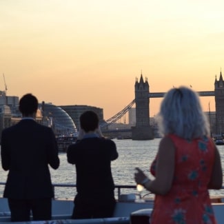 Cruise down the River Thames