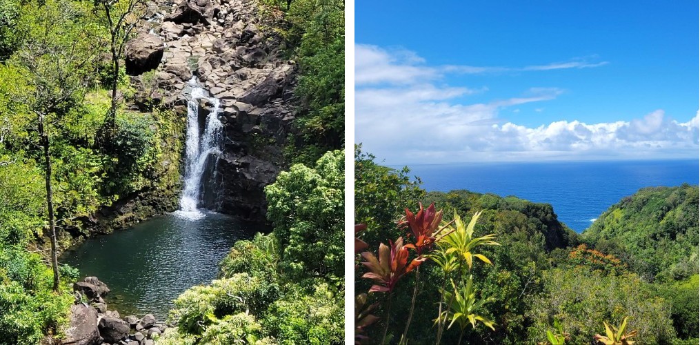 Drive the Road to Hāna
