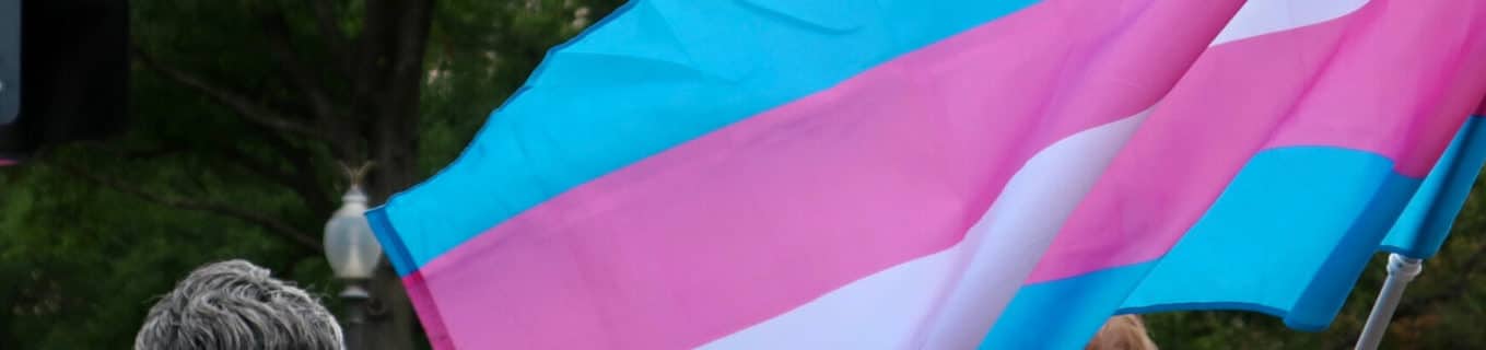 transgender flag at rally