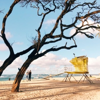 Baldwin Beach – one of Maui's most stunning beaches!
