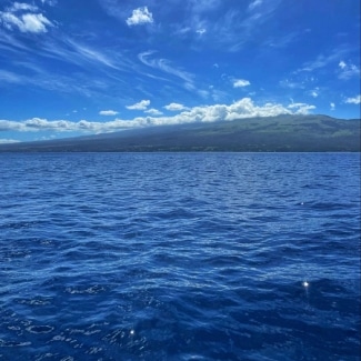 snorkeling stop in Molokini