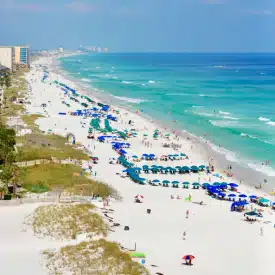 SUMMER for the Seasons in Florida