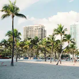 WINTER for the Seasons in Florida